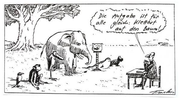 frder5_6.jpg frder5_6.jpg